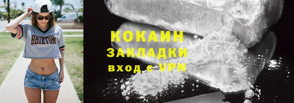 трава Бородино