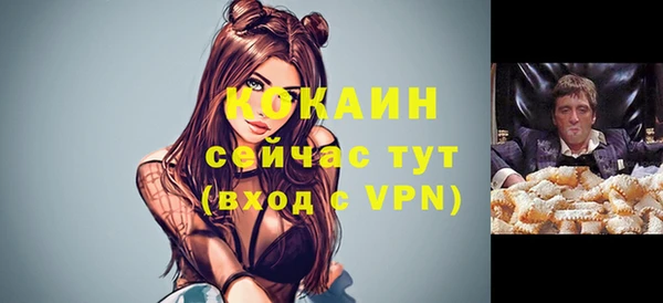 трава Бородино
