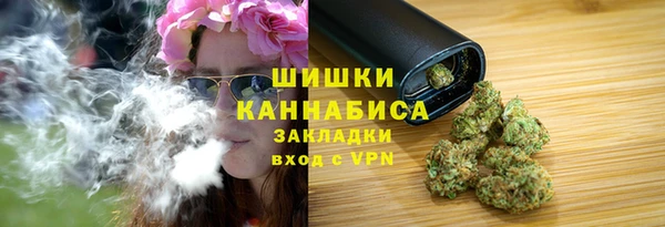 трава Бородино