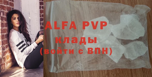трава Бородино