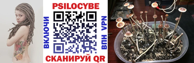 Псилоцибиновые грибы ЛСД  Константиновск 